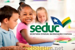 Seduc Boletim Escolar Online: Como consultar?
